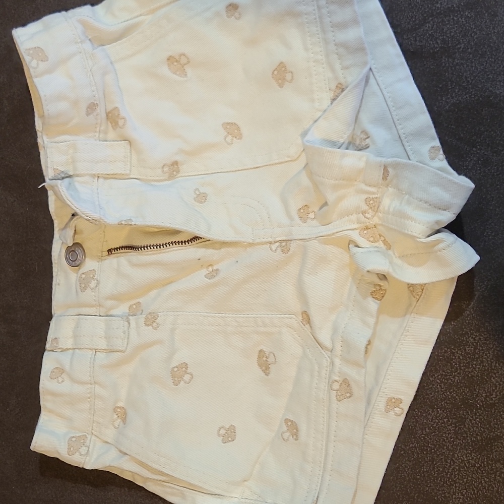 Pacsun Shorts, XS